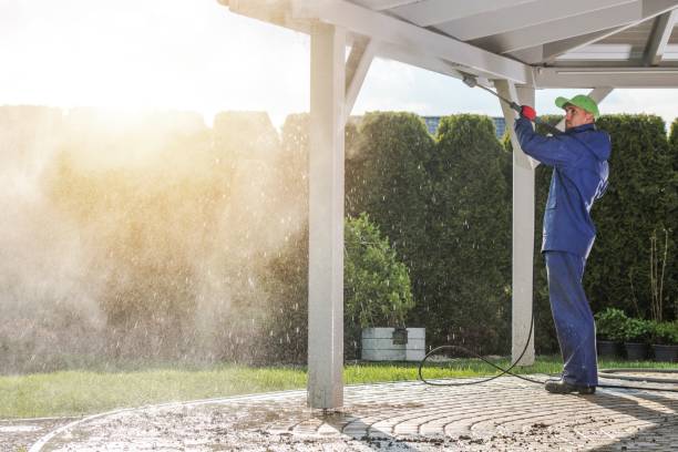 Best Soft Washing  in Coyne Center, IL